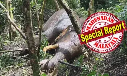 ഭാര്യയടെ സ്വര്‍ണ്ണം പണയം വച്ച് കിട്ടിയ 80,000 രൂപ ഉപയോഗിച്ച് മുരിവാലന്‍ കൊമ്പന്റെ പോസ്റ്റ്‌മോര്‍ട്ടവും മറ്റും ചെലവുകളും വഹിച്ച ഉദ്യോഗസ്ഥന്‍; സര്‍ക്കാര്‍ അറിയാന്‍ ഒരു മൂന്നാര്‍ യഥാര്‍ത്ഥ്യം