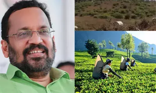 തോട്ടഭൂമി തരം മാറ്റുന്നതിനെതിരെ കര്‍ശന നടപടിയെന്ന് മന്ത്രി രാജന്‍; അനധികൃത നെല്‍വയല്‍ നികത്തല്‍ തടഞ്ഞു