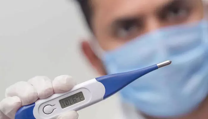 എറണാകുളം ജില്ലയില് ഡെങ്കിപ്പനി പടരുന്നു; ഇതുവരെ ജില്ലയില് സ്ഥിരീകരിച്ചത് 144 കേസുകള് എറണാകുളം ജില്ലയില് ഡെങ്കിപ്പനി പടരുന്നു; ഇതുവരെ ജില്ലയില് സ്ഥിരീകരിച്ചത് 144 കേസുകള്