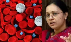 വയനാടിലെ സിക്കിള്‍സെല്‍ രോഗികള്‍ക്ക് പ്രത്യേക ഓണക്കിറ്റ്; നിലവില്‍ നല്‍കുന്ന ന്യൂട്രീഷന്‍ കിറ്റ് കൂടാതെ ഓണക്കിറ്റ്