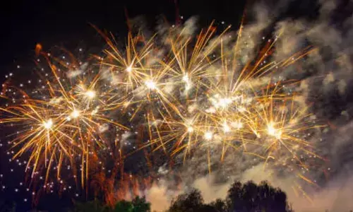 ശൈത്യകാലത്തെ വായു മലിനീകരണം: ഡല്‍ഹിയില്‍ പടക്കം ഉപയോഗിക്കുന്നതിന് വിലക്കേര്‍പ്പെടുത്തി സര്‍ക്കാര്‍