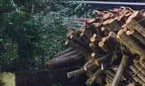 മാക്കൂട്ടം ചുരം റോഡില്‍ രണ്ട് ലോറികള്‍ നിയന്ത്രണം വിട്ടുമറിഞ്ഞ് ഗതാഗതം തടസപ്പെട്ടു; മണിക്കൂറുകള്‍ ഗതാഗത തടസ്സം