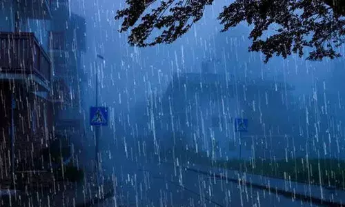 എല്ലാ ജില്ലകളിലും 17 വരെ മഴയ്ക്ക് സാധ്യത; കാറ്റും വീശിയടിക്കുമെന്ന് കേന്ദ്ര കാലാവസ്ഥാ നിരീക്ഷണ കേന്ദ്രം