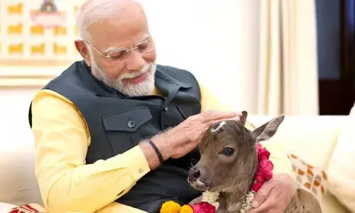 നെറ്റിത്തടത്തില്‍ പ്രകാശത്തിന് സമാനമായ അടയാളം; അതിനാല്‍ പേര് ദീപജ്യോതി; ഔദ്യോഗിക വസതിയിലേക്ക് പുതിയ അതിഥിയെ വരവേറ്റ് പ്രധാനമന്ത്രി