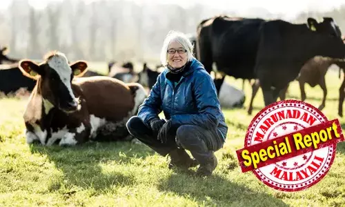 ബ്രെക്സിറ്റിന്റെ ആഘാതം ബ്രിട്ടന്റെ സാമ്പത്തിക രംഗത്തെ മോശമായി ബാധിക്കുന്നു; നിയമക്കുരുക്കുകള്‍ കാരണം യൂറോപ്യന്‍ യൂണിയനുകളിലേക്കുള്ള കയറ്റുമതി ചെറികിടക്കാര്‍ നിര്‍ത്തിവെച്ചുവെന്ന് സാമ്പത്തിക ശാസ്ത്രജ്ഞരുടെ റിപ്പോര്‍ട്ട്