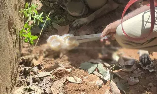 വിവാഹ വീട്ടില്‍ നിന്ന് മോഷണം പോയ സ്വര്‍ണാഭരണം വഴിയില്‍ ഉപേക്ഷിച്ച നിലയില്‍; മോഷണം നടന്നത് കുടുംബം വിവാഹ സല്‍ക്കാരത്തിനായി പോയ സമയത്ത്