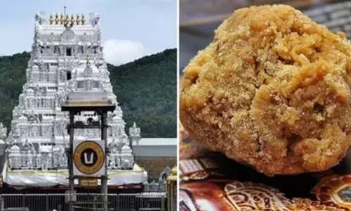 തിരുപ്പതി ലഡുവിലെ നെയ്യില്‍ മൃഗക്കൊഴുപ്പും മീനെണ്ണയും എന്ന വിവാദം; ആചാരലംഘനം ആരോപിച്ച് സുപ്രീം കോടതിയില്‍ ഹര്‍ജി; ആന്ധ്ര മുഖ്യമന്ത്രിയോട് വിശദമായ റിപ്പോര്‍ട്ട് തേടി കേന്ദ്രസര്‍ക്കാര്‍