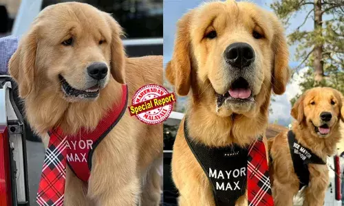 ഇവിടുത്തെ കാര്യങ്ങള്‍ തീരുമാനിക്കുക മേയര്‍ മാക്‌സ് എന്ന നായ; തിരഞ്ഞെടുപ്പില്‍ തോല്‍പ്പിച്ചത് 13 നായ്ക്കളെയും രണ്ടുപൂച്ചകളെയും; ഒരുകൊച്ചു കാലിഫോര്‍ണിയ പട്ടണത്തിലെ കൗതുക കഥ