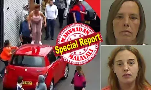 നായയുമായി നടക്കാന്‍ പോയപ്പോള്‍ വംശീയ കലാപം കണ്ടു; കാറിന് മുകളില്‍ കയറി ഡാന്‍സ് കളിച്ച് ആഘോഷിച്ചു; ആവേശം കാട്ടിയ അമ്മയും മോളും ഇനി മൂന്ന് വര്‍ഷം അഴിയെണ്ണും