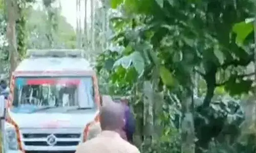 നീലഗിരിയിലെ ചേരമ്പാടിയില്‍ കാട്ടാനയുടെ ആക്രമണം; മലയാളിയായ ഗൃഹനാഥന് ദാരുണ മരണം