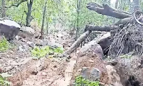 കമ്പിളിപ്പാറ മലയില്‍ വീണ്ടും മലവെള്ളപ്പാച്ചിലും മണ്ണിടിച്ചിലും; ഭീതിയില്‍ നാട്ടുകാര്‍