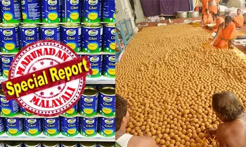 തിരുപ്പതി ലഡു വിവാദത്തില്‍ കോളടിച്ച് കര്‍ണ്ണാടക; ലഡു നിര്‍മ്മാണത്തിന് വീണ്ടും ഉപയോഗിക്കുക നന്ദിനി നെയ്യ്; ദേവസ്ഥാനം ആവശ്യപ്പെട്ടത് 350 ടണ്‍; ചേരുവയിലേക്ക് നന്ദിനി തിരിച്ചെത്തുന്നത് 5 വര്‍ഷത്തിന് ശേഷം; നെയ് എത്തിക്കുക അതീവ സുരക്ഷയില്‍