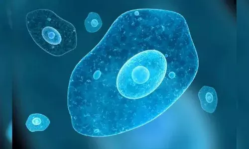 തിരുവനന്തപുരത്ത് വീണ്ടും അമീബിക്ക് മസ്തിഷ്കജ്വര ഭീതി; രണ്ട് പേർക്ക് കൂടി രോഗ സ്ഥിരീകരണം; വൈറസിന്റെ ഉറവിടം കണ്ടെത്താനാകാത്തതിൽ ആശങ്ക