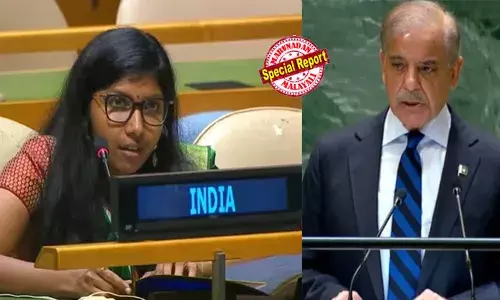 നുണകള്‍ കൊണ്ട് കോട്ട കെട്ടി സത്യത്തെ നേരിടുന്നവര്‍; തീവ്രവാദത്തിനും മയക്കുമരുന്ന് കടത്തിനും കുപ്രസിദ്ധി കേട്ടവരാണ് ജനാധിപത്യരാജ്യമായ ഇന്ത്യയെ ആക്രമിക്കുന്നത്; യുഎന്നില്‍ പാക് പ്രധാനമന്ത്രിക്ക് ക്ലാസെടുത്ത് ഈ മലയാളി ചുണക്കുട്ടി; ആരാണ് ഭവിക മംഗളാനന്ദന്‍?