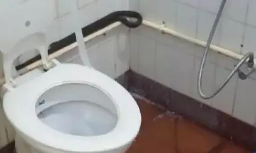 കണ്ണൂര്‍ മെഡിക്കല്‍ കോളേജാശുപത്രിയിലെ ശുചിമുറിയില്‍ അണലി; ഭീതിയോടെ രോഗികള്‍