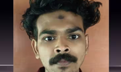 ആലുവയിൽ ലഹരിമരുന്നുകളുമായി പ്രതികളെ പിടികൂടിയ സംഭവത്തിൽ കൂടുതൽ നടപടി; ഒരാൾക്ക് കോടതി പത്ത് വർഷത്തെ കഠിന തടവിനും ഒന്നര ലക്ഷം രൂപ പിഴയും വിധിച്ചു