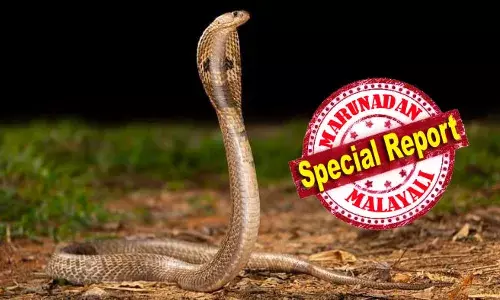 സ്കൂളിൽ വച്ച് കളിക്കുന്നതിനിടെ എന്തോ കടിച്ചു; പിന്നാലെ കാൽ വേദനയെടുക്കുന്നുവെന്ന് അഞ്ചാം ക്ലാസുകാരൻ; ശ്രദ്ധിക്കാതെ അധ്യാപകർ; ഒടുവിൽ പാമ്പ് കടിയേറ്റ വിദ്യാർത്ഥിക്ക് ദാരുണാന്ത്യം; പരാതിയെ തുടർന്ന് ഹെഡ്മാസ്റ്റർ പിടിയിൽ