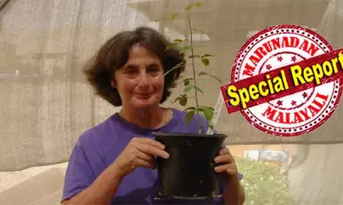 ആയിരം വര്‍ഷം പഴക്കമുള്ള വിത്ത് മുളച്ചു; ആ ചെടിയ്ക്ക് ഇനിയും പൂവും കായും വന്നില്ല; ഔഷധ സസ്യങ്ങളെ തേടിയുള്ള യാത്രയിലെ ഗവേഷണ കഥ