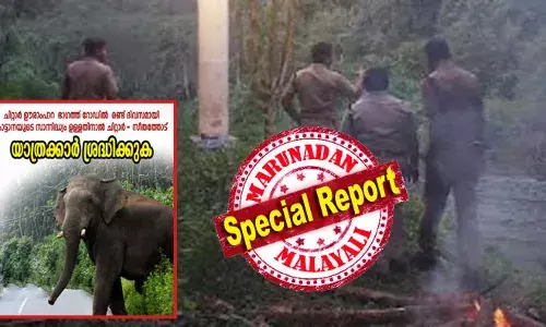 രാത്രിയെന്നോ പകലെന്നോ ഇല്ല; പ്രധാന റോഡുകള്‍ കൈയടക്കി കാട്ടാന; കൃഷിനാശവും വ്യാപകം; പടക്കം കൊണ്ട് നേരിടാന്‍ ഫോറസ്റ്റുകാര്‍; ഫോറസ്റ്റ് ഓഫീസ് ഉപരോധിക്കാന്‍ നാട്ടുകാരും: ചിറ്റാറില്‍ മനുഷ്യ-മൃഗസംഘര്‍ഷം