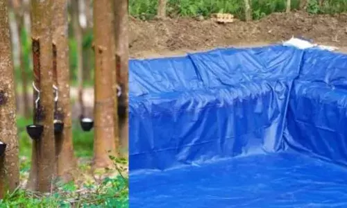 പത്തനംതിട്ട കോന്നിയിൽ റബ്ബർ തോട്ടത്തിൽ 520 ലിറ്റർ കോട പിടിച്ചെടുത്തു; സൂക്ഷിച്ചിരുന്നത് കന്നാസുകളിലും പടുതാക്കുളത്തിലുമായി; പ്രതികൾക്കായി അന്വേഷണം ആരംഭിച്ച് എക്സൈസ്