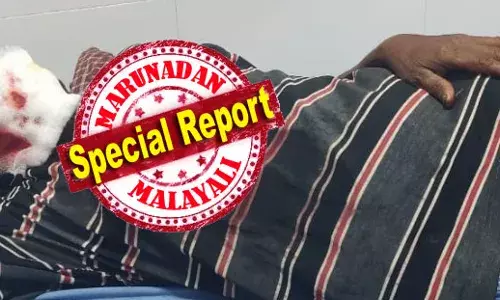 അടൂരിലും പന്തളത്തും തെരുവുനായയുടെ വിളയാട്ടം; പോലീസ് ഉദ്യോഗസ്ഥരും വ്യാപാരികളും ഉള്‍പ്പെടെ ഏഴു പേര്‍ക്ക് കടിയേറ്റു; ഭീതിയില്‍ രണ്ടു നഗരങ്ങള്‍