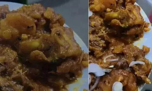 കട്ടപ്പനയിൽ ഹോട്ടലിൽ വിളമ്പിയ കപ്പബിരിയാണിയിൽ ജീവനുള്ള പുഴുവിനെ കണ്ടെത്തി; പാഴ്‌സലാക്കാൻ ആവശ്യപ്പെട്ടപ്പോൾ ഉടമയുടെ അനുരഞ്ജന ശ്രമം; നഗരസഭയിലെത്തി പരാതി നൽകി ദമ്പതികൾ