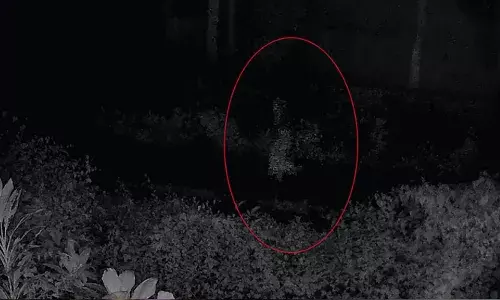 പയ്യന്നൂരില്‍ പെണ്‍കുട്ടിയെ തട്ടിക്കൊണ്ടു പോയെന്ന് പരാതി; ഒരാള്‍ സ്‌കൂട്ടറില്‍ കൊണ്ടുപോകുന്ന ദൃശ്യം ലഭിച്ചു; അന്വേഷണം തുടരുന്നു