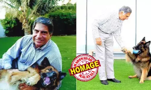 എനിക്ക് അവനെ വിട്ട് വരാന്‍ കഴിയില്ല; രോഗം ബാധിച്ച വളര്‍ത്തുനായയ്ക്ക് വേണ്ടി രാജകീയ ബഹുമതി സ്വീകരിക്കാന്‍ ബക്കിംഗ് ഹാം കൊട്ടാരത്തില്‍ പോകാതിരുന്ന രത്തന്‍ ടാറ്റ; അന്ന് നിരസിച്ചത് ചാള്‍സ് രാജാവിന്റെ ക്ഷണം