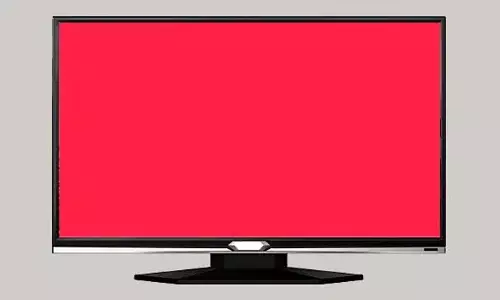 മുന്‍കൂര്‍ പണമടച്ചിട്ടും സമയത്തിന് ടി വി നല്‍കിയില്ല; 15000 രൂപ നഷ്ടപരിഹാരം നല്‍കാന്‍ വിധി; മലപ്പുറം ഉപഭോക്തൃ തര്‍ക്ക പരിഹാര കോടതിയുടെ വിധി ഇങ്ങനെ