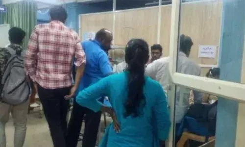 കോഴിക്കോട് തൊഴിലുറപ്പ് തൊഴിലാളികൾക്ക് കടന്നൽ കുത്തേറ്റു; 10 പേർക്ക് പരുക്കേറ്റു