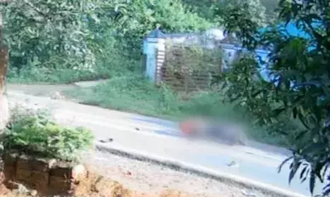 പാലക്കാട് ലോറിയും ബൈക്കും കൂട്ടിയിടിച്ച്‌ യുവാവിന് ഗുരുതര പരിക്ക്; അപകടം വലത്തേക്ക് വെട്ടിച്ചുകയറ്റാന്‍ ശ്രമിക്കുന്നതിനിടെ