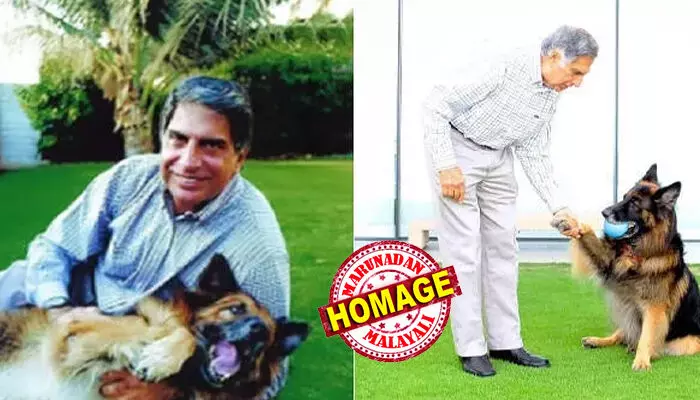 എനിക്ക് അവനെ വിട്ട് വരാന്‍ കഴിയില്ല; രോഗം ബാധിച്ച വളര്‍ത്തുനായയ്ക്ക് വേണ്ടി രാജകീയ ബഹുമതി സ്വീകരിക്കാന്‍ ബക്കിംഗ് ഹാം കൊട്ടാരത്തില്‍ പോകാതിരുന്ന രത്തന്‍ ടാറ്റ; അന്ന് നിരസിച്ചത് ചാള്‍സ് രാജാവിന്റെ ക്ഷണം