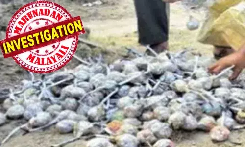 അനധികൃത ക്വാറികള്‍ക്കും കുഴല്‍കിണറിനും വേണ്ടി ഇടുക്കിയിലേക്ക് സ്ഫോടക വസ്തുക്കള്‍ കടത്തുന്നു: തമിഴ്നാട്ടിലും കര്‍ണാടകയിലും നിന്നെത്തുന്ന മരുന്ന് പിടിക്കാന്‍ പരിശോധനയില്ല