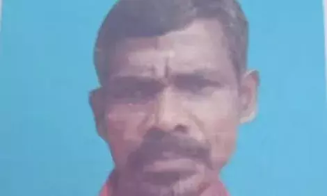 പാലക്കാട് വൈദ്യുതി കമ്പിയിൽ നിന്നും ഷോക്കേറ്റ് വയോധികന് ദാരുണാന്ത്യം; അപകടം തോട്ടികെട്ടി പ്ലാവില വലിച്ച് താഴെയിടുന്നതിനിടെ