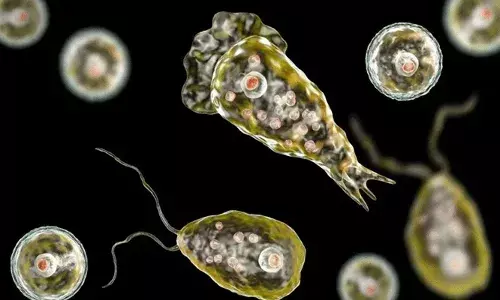 അമീബിക് മസ്തിഷ്‌ക ജ്വരം; മലപ്പുറം സ്വദേശിയായ യുവതിക്ക് രോഗമുക്തി