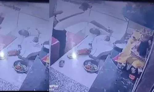 ക്ഷേത്ര ദർശനത്തിനെന്ന വ്യാജേനയെത്തി; ശിവലിംഗത്തിൽ നിന്നും പാമ്പിനെ ചാക്കിലാക്കി യുവാവ് കടന്നു; സിസിടിവിയിൽ കുടുങ്ങി മോഷ്ടാവ്