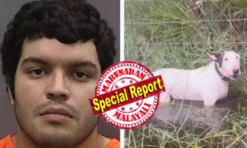 വീശിയടിച്ച മിൽട്ടൺ കൊടുങ്കാറ്റിൽ നായയെ കളഞ്ഞ് ഉടമ മുങ്ങി; നായയെ കണ്ടെത്തിയത് കഴുത്തോളം വെള്ളത്തിൽ കെട്ടിയിട്ട നിലയിൽ; രക്ഷകരായി പോലീസ്; പിന്നാലെ ഉടമയെ കൈയ്യോടെ തൂക്കി പോലീസ്; മിണ്ടാപ്രാണികളോട് ഇങ്ങനെ ക്രൂരത കാണിക്കരുതെന്ന് വിമർശനം