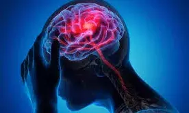 അപകടം സംഭവിച്ചാല്‍ ആദ്യത്തെ മണിക്കൂറുകള്‍ വളരെ പ്രധാനം; സമഗ്ര ട്രോമ കെയര്‍ സംവിധാനം എല്ലാ ജില്ലകളിലും: മന്ത്രി വീണാ ജോര്‍ജ്: ഒക്ടോബര്‍ 17 ലോക ട്രോമ ദിനം