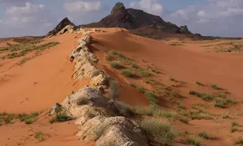 മെലീഹ നാഷണല്‍ പാര്‍ക്കിന്റെ സംരക്ഷണവേലി നിര്‍മാണമാരംഭിച്ചു