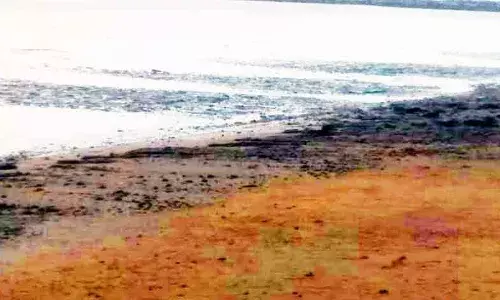 തീരദേശത്ത് കടല്‍ അഞ്ഞൂറ് മീറ്ററോളം ഉള്‍വലിഞ്ഞു; നാട്ടുകാര്‍ ഭീതിയില്‍; താനൂരില്‍ തിരമാലകള്‍ കുറഞ്ഞ് കടല്‍ വലിഞ്ഞ് തീരത്ത് ചെളി നിറഞ്ഞ നിലയില്‍