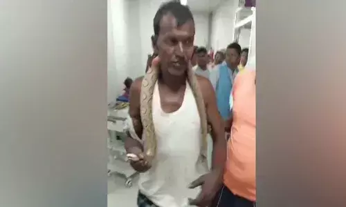 കടിച്ച പാമ്പുമായി ആശുപത്രിയിലെത്തി പ്രകാശ്; അണലിയേയും കഴുത്തില്‍ ചുറ്റി വരുന്ന ആളെ കണ്ട് ഞെട്ടി ജീവനക്കാര്‍: അത്യാഹിത വിഭാഗത്തിലേക്ക് ഓടി എത്തിയ ആള്‍ക്ക് ഉടനടി ചികിത്സ നല്‍കി ആശുപത്രി അധികൃതര്‍