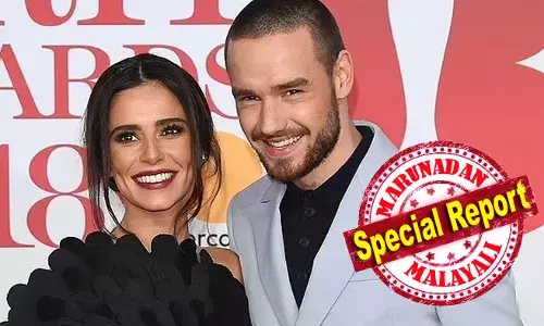 ഇരുപത്തിമൂന്നാം വയസ്സില്‍ ഷെറില്‍ ട്വീഡിയില്‍ പിറന്ന കുഞ്ഞിന് കിട്ടാന്‍ പോകുന്നത് ശതകോടികള്‍; ലിയാം പെയ്‌നിന്റെ സ്വത്തുക്കള്‍ എല്ലാം അമേരിക്കയില്‍ താമസിക്കുന്ന യാതൊരു ബന്ധവുമില്ലാത്ത ഏഴ് വയസ്സുകാരന്