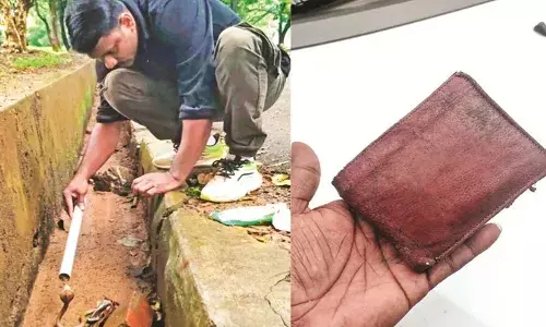 പാമ്പിനെ തേടി പൊത്തില്‍ തിരച്ചില്‍; കിട്ടിയത് സ്വര്‍ണവും പണവും അടങ്ങിയ പഴ്‌സ്