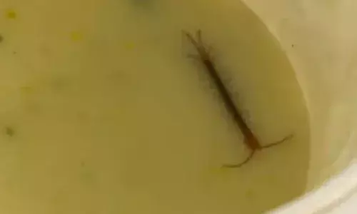 റെയിൽവെയുടെ വിഐപി ലോഞ്ചിൽ നിന്ന് വിതരണം ചെയ്ത ഭക്ഷണത്തിൽ പഴുതാര; രോഷം പ്രകടിപ്പിച്ച് യാത്രക്കാർ; പിന്നാലെ പ്രതികരണവുമായി അധികൃതർ