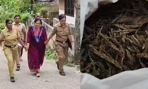 എക്സൈസ് സംഘം എത്തിയതോടെ ഭര്‍ത്താവ് ഓടിരക്ഷപ്പെട്ടു; വാടകവീട്ടില്‍ നടത്തിയ പരിശോധനയില്‍ കണ്ടെത്തിയത് ചാക്കില്‍ നിറച്ച കഞ്ചാവ്; ഭാര്യ കസ്റ്റഡിയില്‍