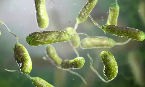 ഫ്‌ലോറിഡയില്‍ അപൂര്‍വ മാംസം ഭക്ഷിക്കുന്ന ബാക്ടീരിയകള്‍ മൂലം 13 മരണങ്ങള്‍