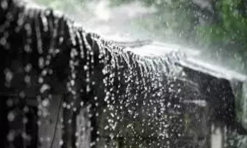 തുലാവര്‍ഷം തുടങ്ങിയിട്ടും വൃഷ്ടിപ്രദേശത്ത് മഴയില്ല; ഇടുക്കിയില്‍ വൈദ്യുതോത്പാദനം കൂട്ടാനാകാതെ കെ.എസ്.ഇ.ബി.