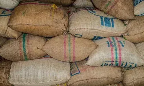 കള്ളന്മാരെ പേടിച്ച് പണം സൂക്ഷിച്ചത് അരിച്ചാക്കില്‍; അരിയെന്ന് കരുതി പണച്ചാക്ക് വിറ്റ് കടയിലെ ജീവനക്കാരന്‍: പുലിവാല് പിടിച്ച് ചെന്നൈയിലെ കച്ചവടക്കാരന്‍