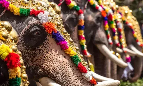 ആനകളെ ഉത്സവങ്ങള്‍ക്ക് എഴുന്നള്ളിക്കുന്നത് മനുഷ്യന്റെ അഹന്ത; തിമിംഗലം കരയില്‍ ജീവിക്കുന്ന ജീവിയല്ലാത്തത് ഭാഗ്യം; ഇല്ലെങ്കില്‍ തിമിംഗലത്തെയും എഴുന്നള്ളത്തിന് ഉപയോഗിച്ചേനെ; അമ്പല കമ്മിറ്റികളുടെ വാശിയാണ് ആന എഴുന്നള്ളിപ്പിന് പിന്നില്‍; ശക്തമായ വിമര്‍ശനവുമായി ഹൈക്കോടതി