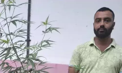 വീടിന് പിന്നിൽ കഞ്ചാവ് ചെടി നട്ടു നനച്ചു വളമിട്ട് വളർത്തി; പിന്നാലെ യുവാവിനെതിരെ കേസെടുത്ത് എക്സൈസ്; മികച്ചൊരു കർഷകനെന്ന് നാട്ടുകാർ; സംഭവം ആലപ്പുഴയിൽ